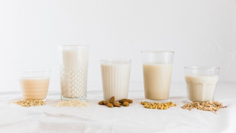 Best Plant-Based Milk Alternatives Guide | Dairy Alternatives