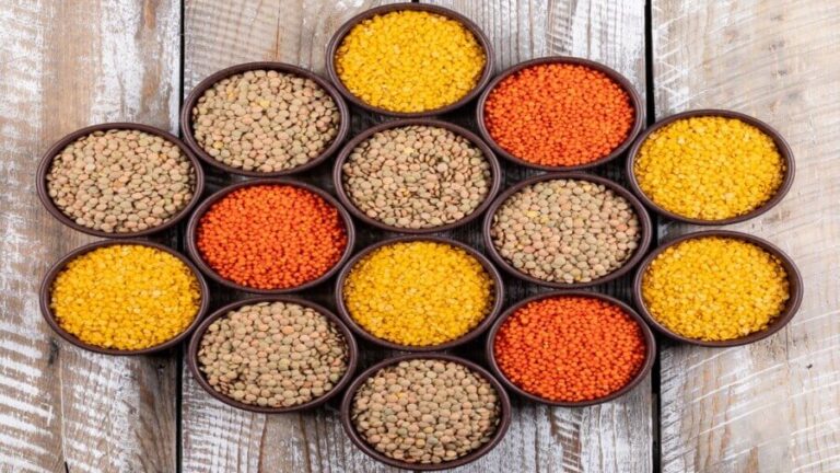 A Complete Guide of Plant-Based Diet & Fiber Benefits