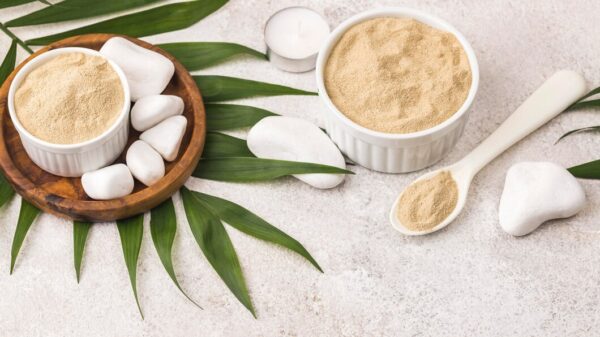 10 Best Vegan Protein Powders (Tested & Reviewed for 2026)