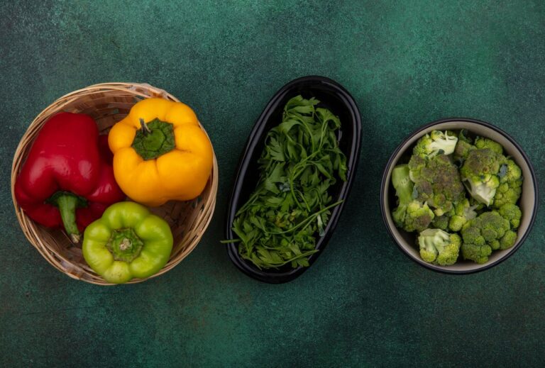 Plant-Based Diet vs Vegetarian Diet
